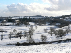 winter onder Tannay december 2010